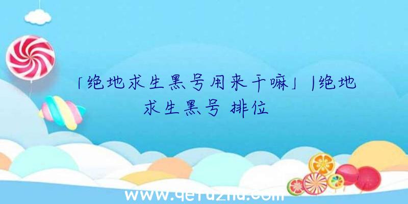 「绝地求生黑号用来干嘛」|绝地求生黑号